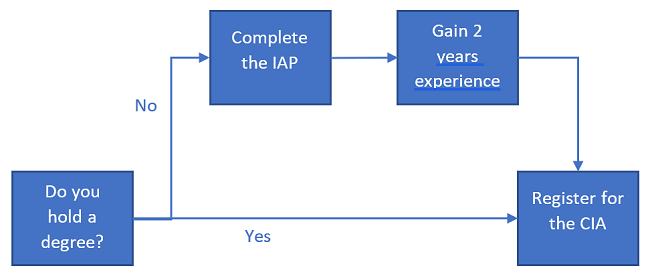 Accurate IIA-CIA-Part2 Answers